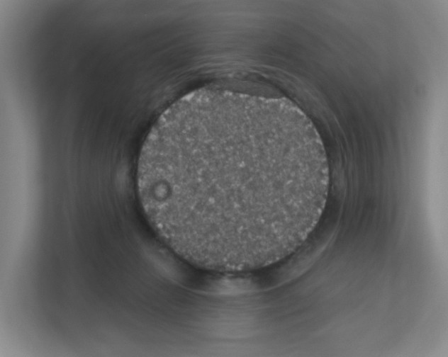 X0000111420270200908241138