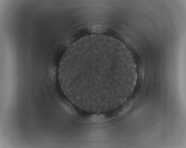 X0000111420271200908241138