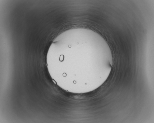 X0000111420272200908241138