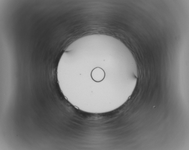 X0000111420276200908241138