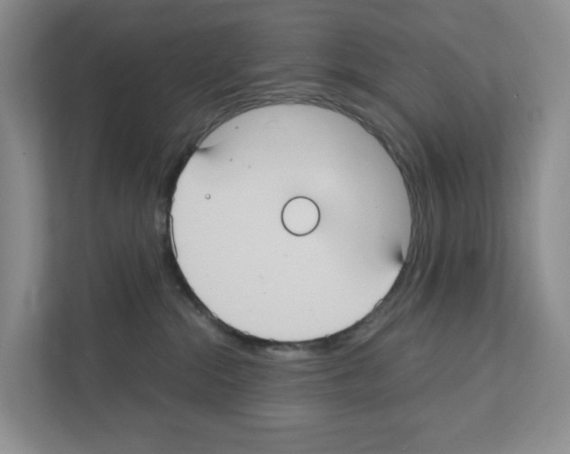 X0000111420284200908241138