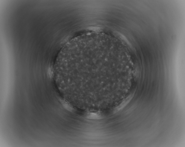 X0000111420285200908241138