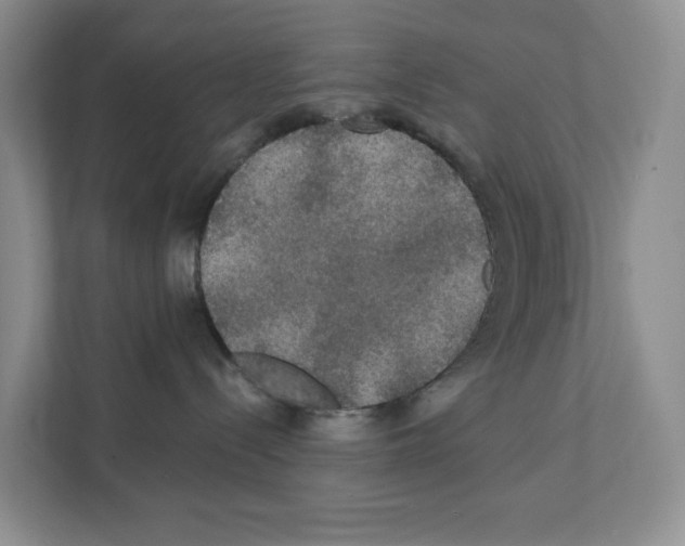 X0000111420288200908241138