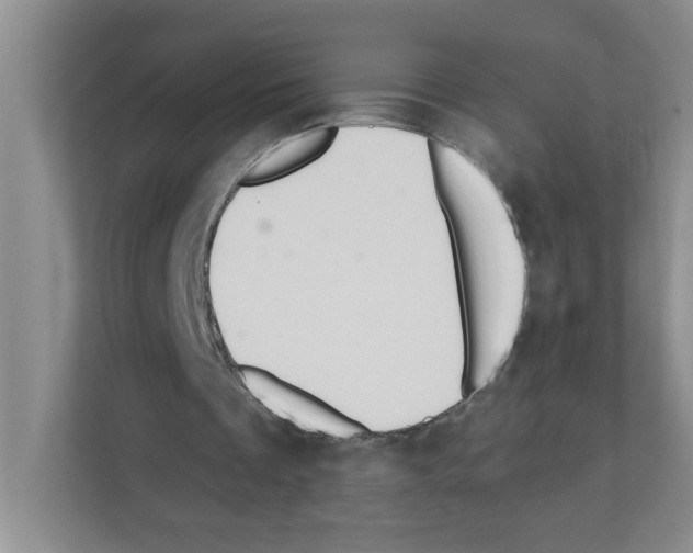 X0000111420289200908241137