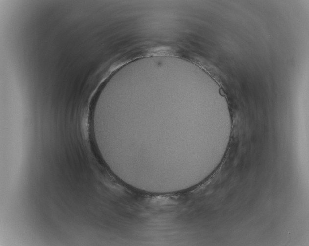 X0000111420290200908241137