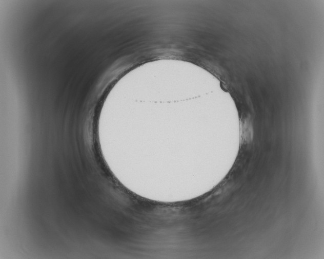 X0000111420291200908241137