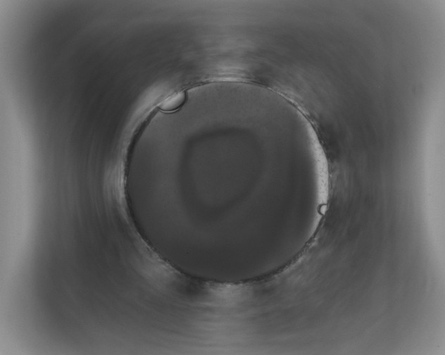 X0000111420293200908241137