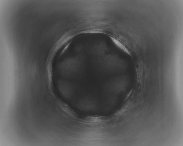 X0000111420295200908241137