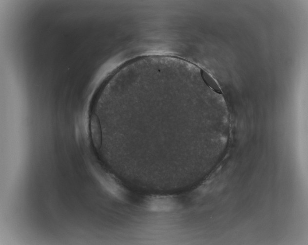 X0000111420296200908241137
