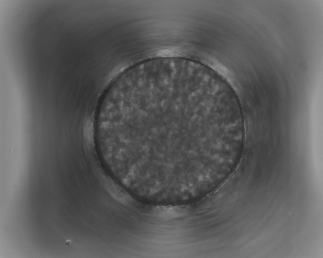 X0000111420297200908241137