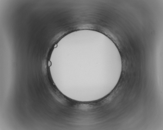 X0000111420298200908241137