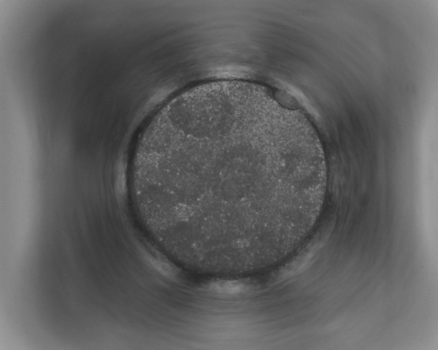 X0000111420299200908241137