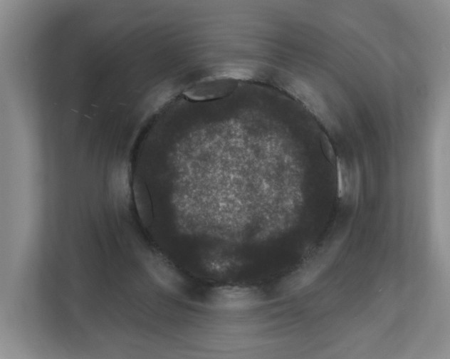 X0000111420300200908241137