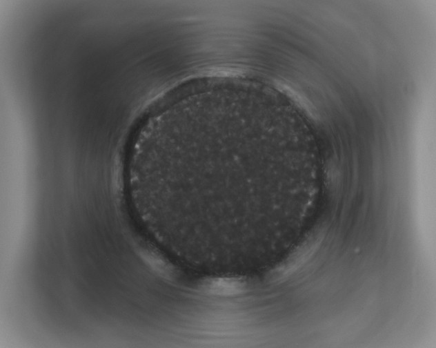 X0000111420303200908241137