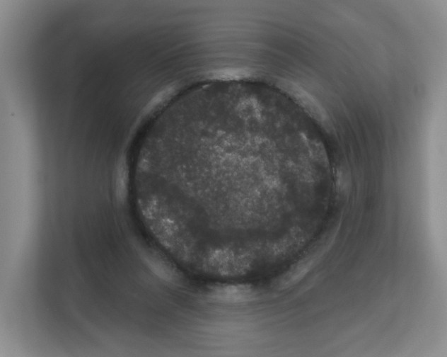 X0000111420304200908241137