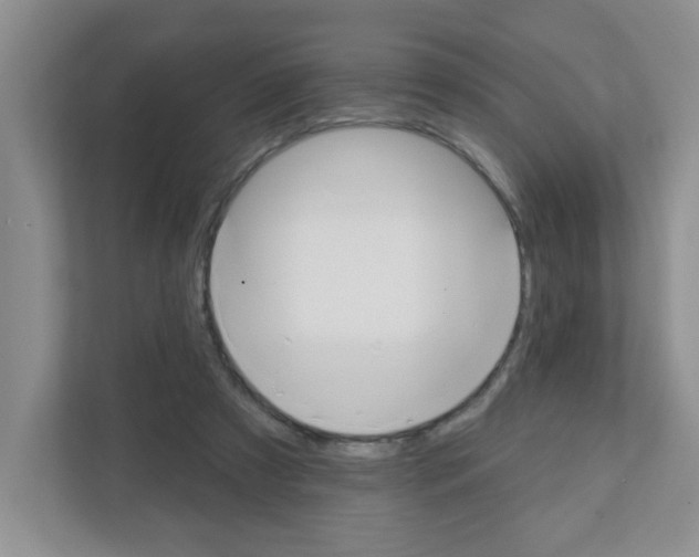 X0000111420305200908241137
