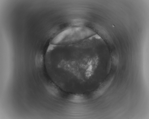 X0000111420308200908241137