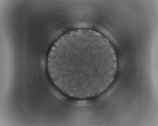 X0000111420309200908241137