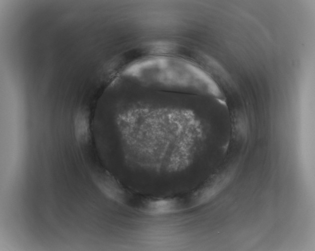 X0000111420312200908241137