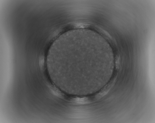 X0000111420314200908241137