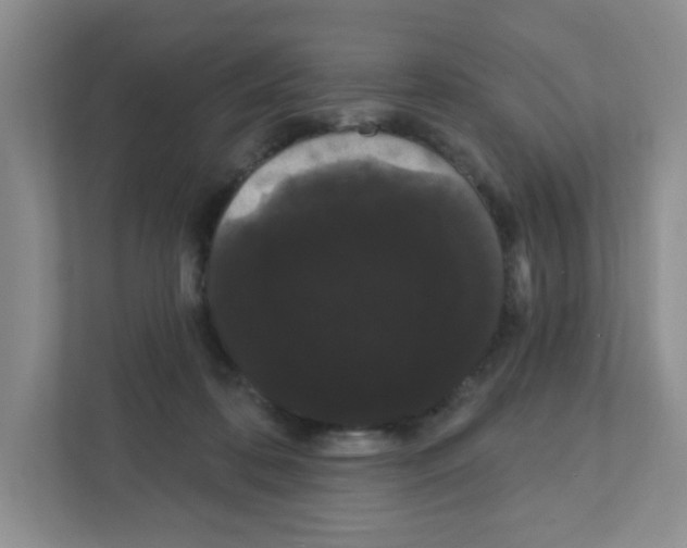 X0000111420316200908241137