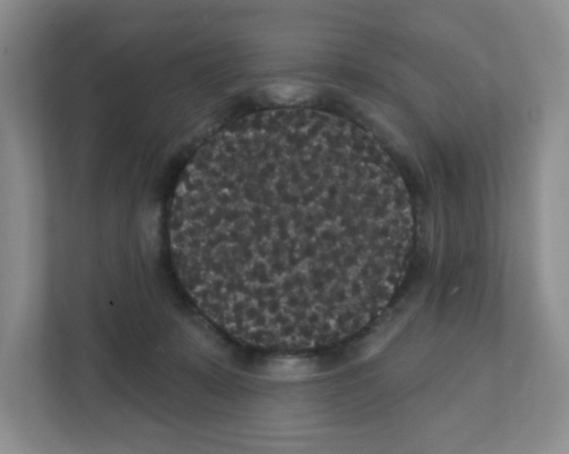 X0000111420319200908241137