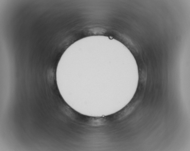 X0000111420321200908241137