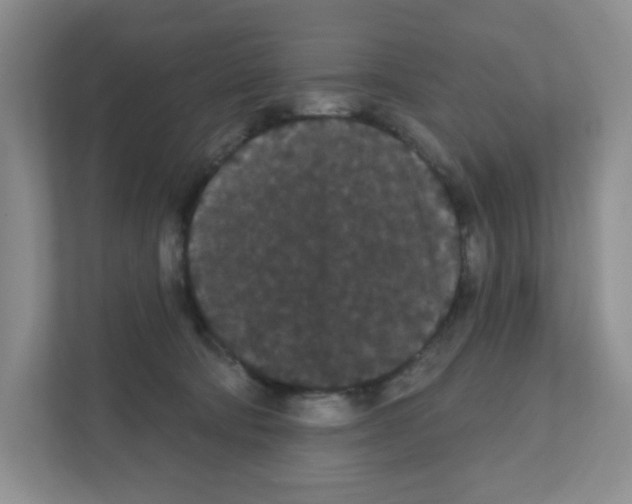 X0000111420322200908241137