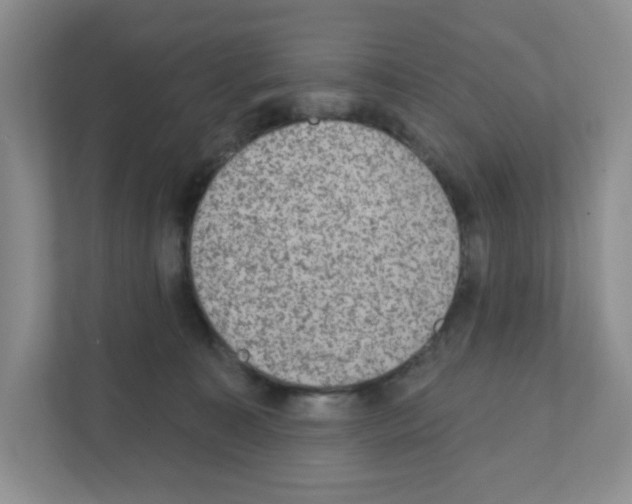 X0000111420323200908241137