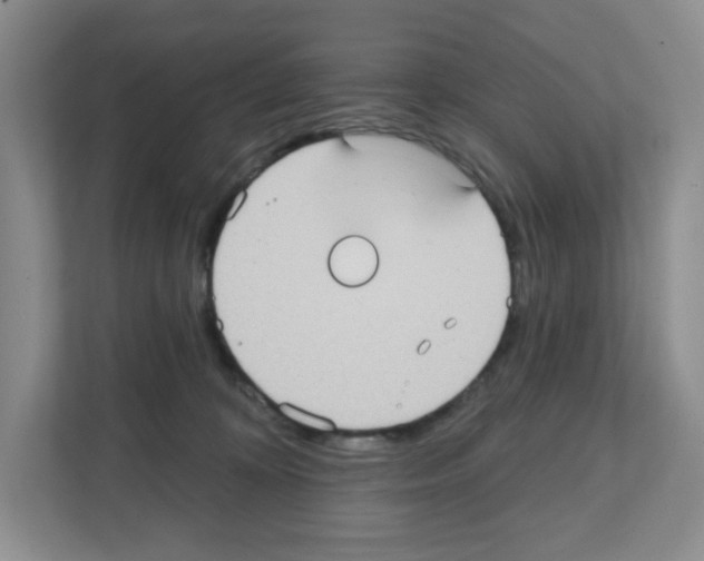 X0000111420324200908241137