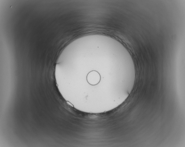 X0000111420325200908241137