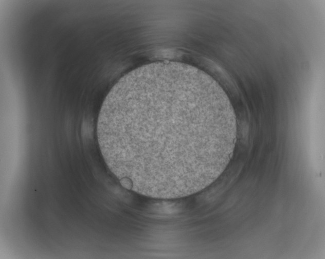X0000111420326200908241137