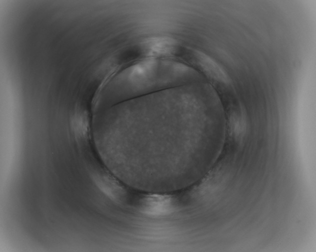X0000111420328200908241137