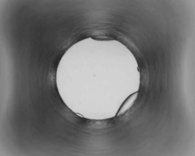 X0000111420329200908241137