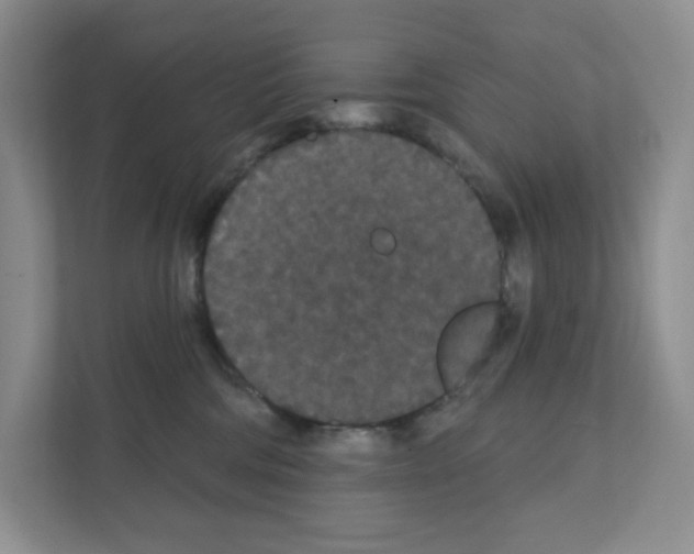 X0000111420330200908241137