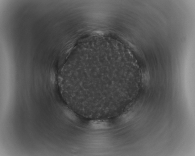 X0000111420331200908241137