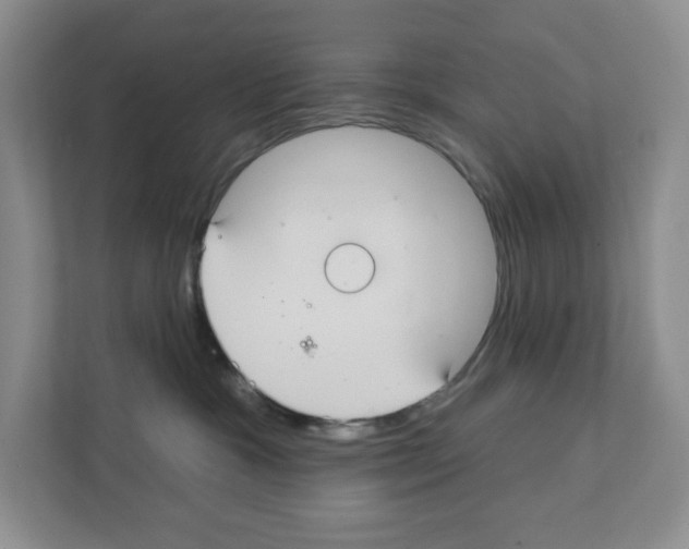 X0000111420333200908241137