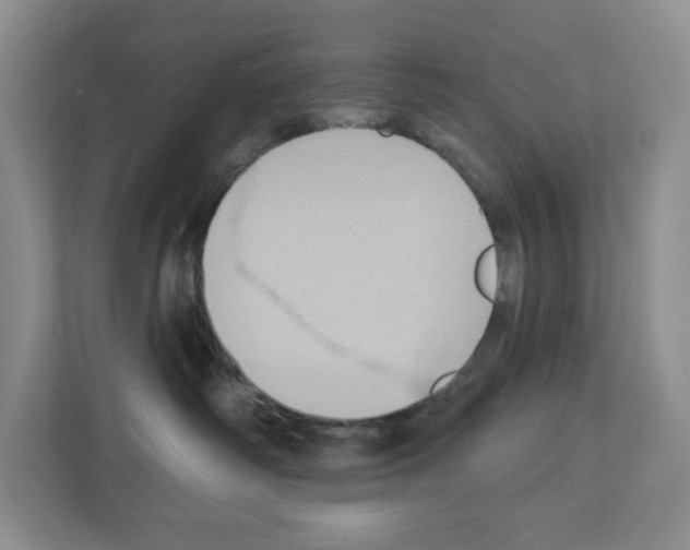 X0000111420334200908241137