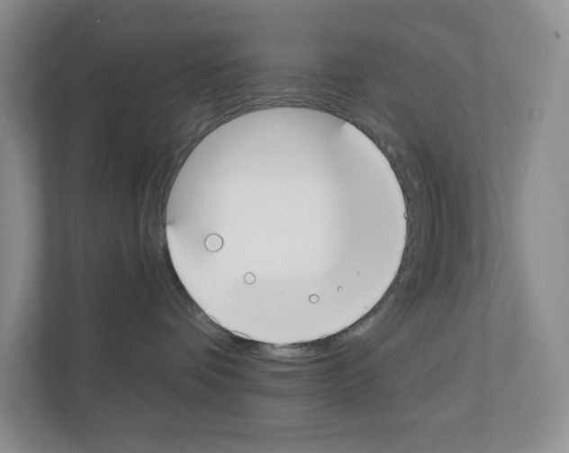 X0000111420336200908241137