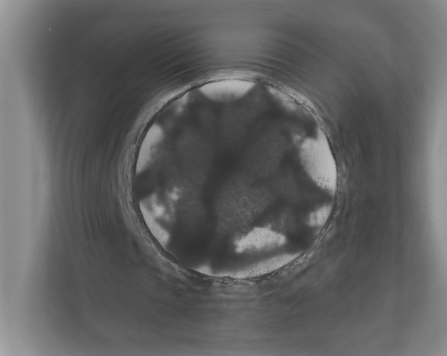 X0000111420337200908241136