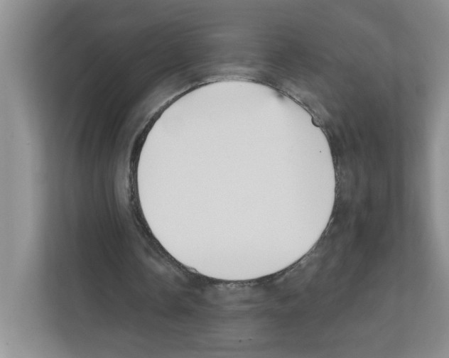 X0000111420338200908241136