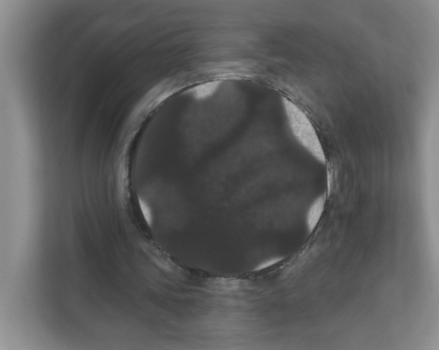 X0000111420339200908241136