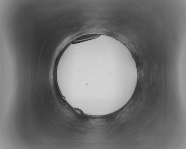 X0000111420340200908241136