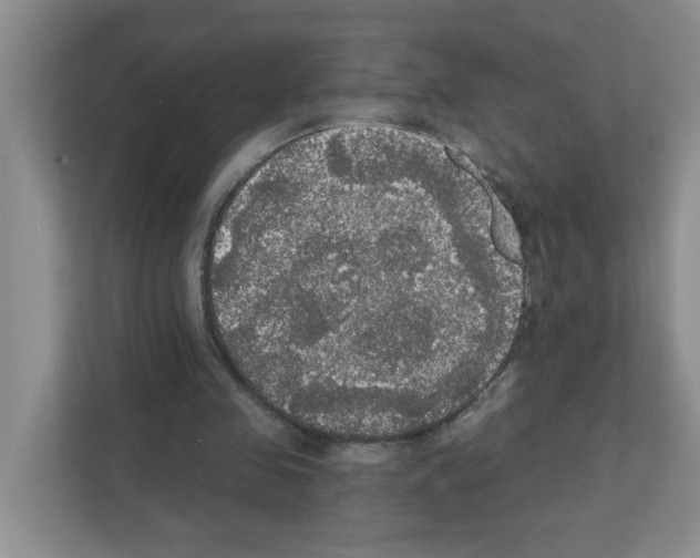 X0000111420341200908241136