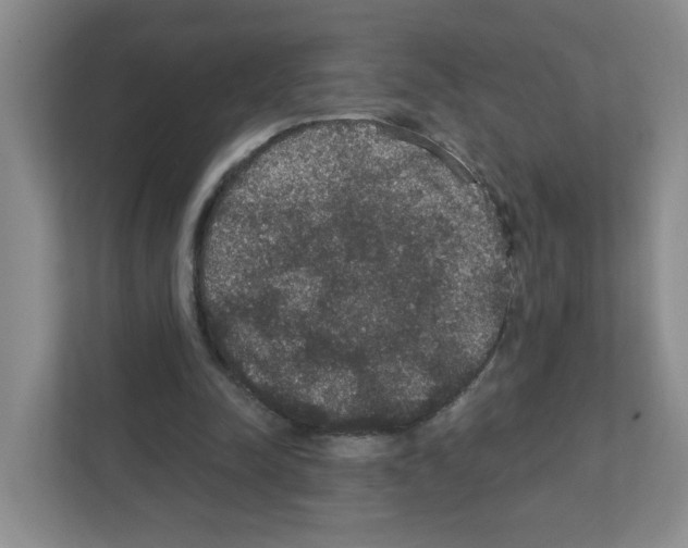 X0000111420342200908241136
