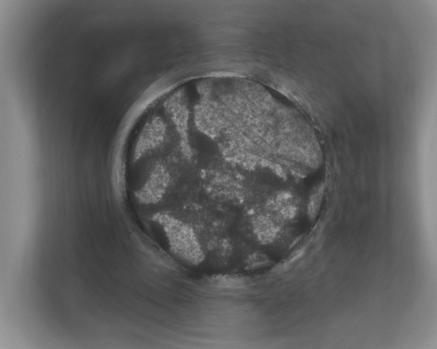 X0000111420343200908241136