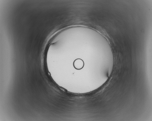 X0000111420344200908241136