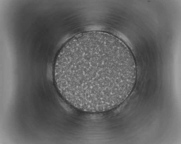X0000111420345200908241136