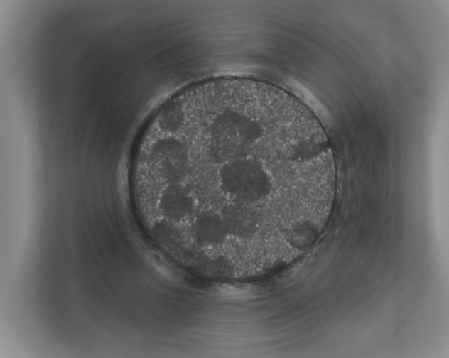 X0000111420346200908241136