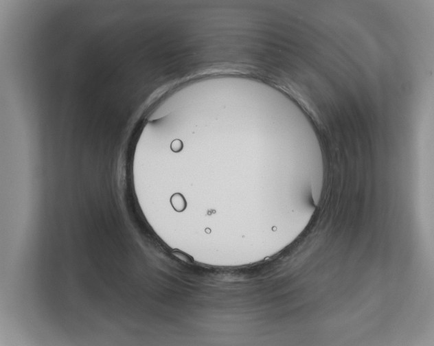X0000111420348200908241136